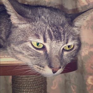 Meet your Posher, Alondra